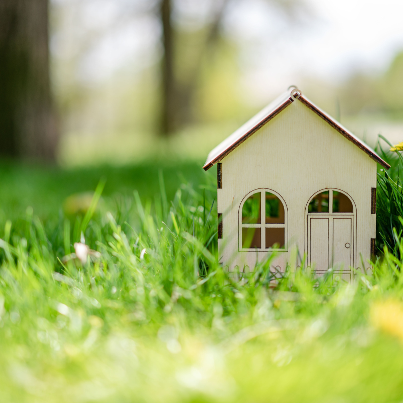 Grass House (Canva)
