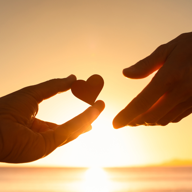 Hand Gifting Heart Support Sunset (Canva)