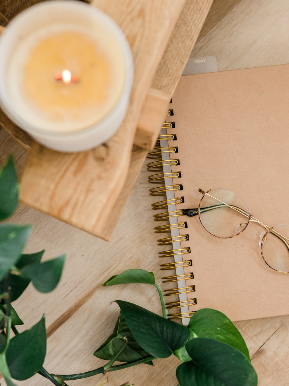 Wellness Candle Journal Plant (Canva)